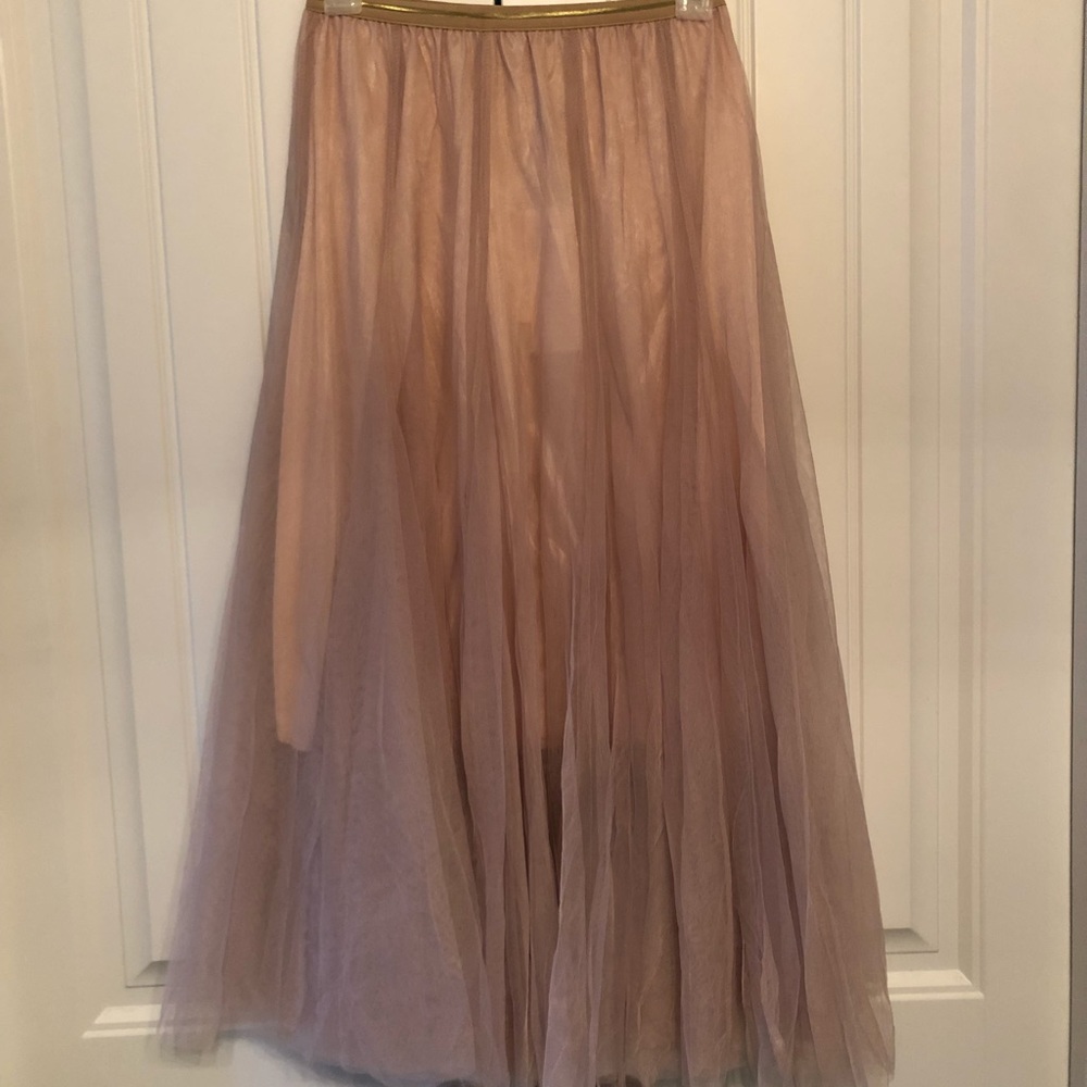 Tulle Skirt